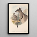 Les mammifères d'Australie Pl083 - John Gould — framed artwork on a wall
