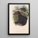 The mammals of Australia Pl085 - John Gould — framed artwork on a wall