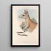 The mammals of Australia Pl088 - John Gould — framed artwork on a wall