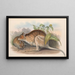 The Mammals of Australia Pl096 - John Gould — framed artwork on a wall