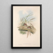 The mammals of Australia Pl129 - John Gould — framed artwork on a wall