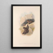 Les mammifères d'Australie Pl138 - John Gould — framed artwork on a wall