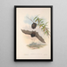 The mammals of Australia Pl146 - John Gould — framed artwork on a wall
