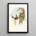 Topaza pyra - John Gould — framed artwork on a wall