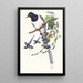 Urocissa magnirostris painting - John Gould — framed artwork on a wall