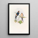 Western Mosque Swallow - John Gould — framed artwork on a wall