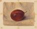 Prune - John Henry Hill — artwork view