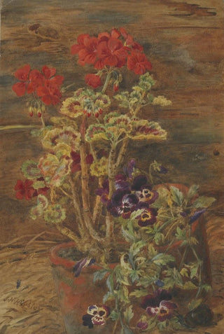 Geraniums and Pansies - John Henry Hipsley — artwork view