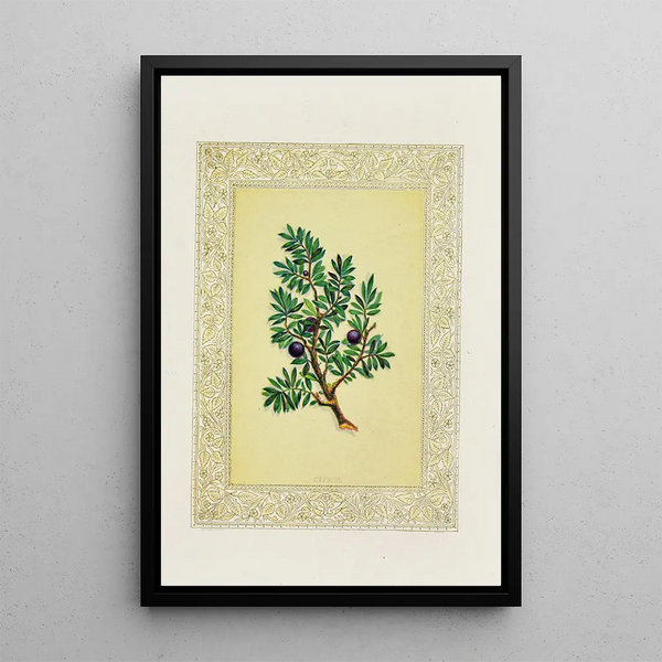Cyprus Painting - John Henry Ingram — framed artwork on a wall