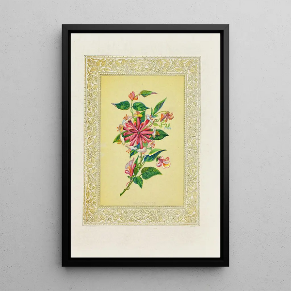 Honeysuckle - John Henry Ingram — framed artwork on a wall