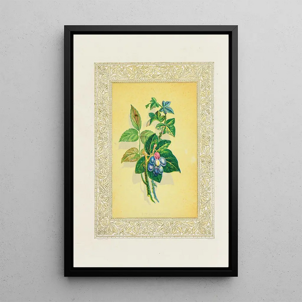 Ivy and Berries - John Henry Ingram — framed artwork on a wall