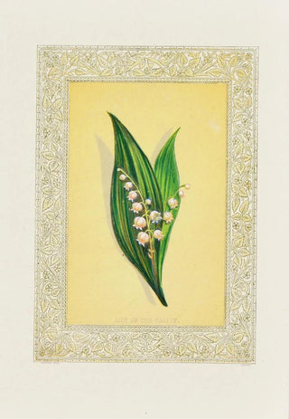 Lily of the Valley - John Henry Ingram — artwork view
