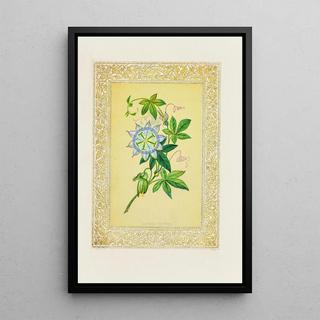 Passionflower Painting - John Henry Ingram — framed artwork on a wall