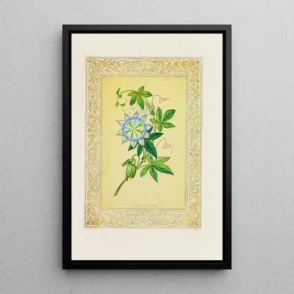 Passionflower Painting - John Henry Ingram — framed artwork on a wall