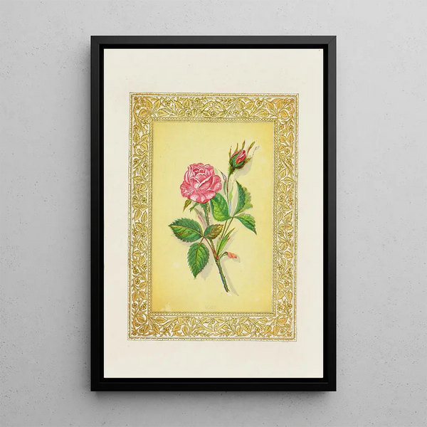 Rose - John Henry Ingram — framed artwork on a wall