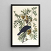American Crow Painting - John James Audubon — framed artwork on a wall