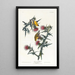 American Goldfinch - John James Audubon — framed artwork on a wall