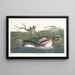 American Hooded Grebe Painting - John James Audubon — framed artwork on a wall