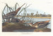 American Bécassine Painting - John James Audubon — artwork view