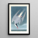 Arctic Star Painting - John James Audubon — framed artwork on a wall