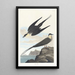 Arctic Labbe Painting - John James Audubon — framed artwork on a wall