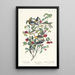 Paruline d'Audubon Paruline solitaire Paruline à gorge grise - John James Audubon — framed artwork on a wall