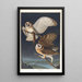 Effraie des clochers - John James Audubon — framed artwork on a wall