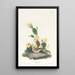 Bruant à ailes baies - John James Audubon — framed artwork on a wall