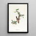 Bewick's Warbler - John James Audubon — framed artwork on a wall