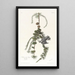 Black-capped Chickadee - John James Audubon — framed artwork on a wall