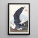 Gannet with a black back - John James Audubon — framed artwork on a wall