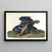 Vautour noir ou corbeau commun - John James Audubon — framed artwork on a wall