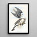 Buse à ailes noires - John James Audubon — framed artwork on a wall
