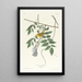Blue-eyed Warbler - John James Audubon — framed artwork on a wall