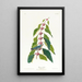 Blue-green Parula Painting - John James Audubon — framed artwork on a wall