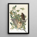 Large-winged Buse - John James Audubon — framed artwork on a wall