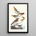 Bullock Oriole, Baltimore Oriole, Mexican Goldfinch, Varied Thrush, and Spotted Thrush - John James Audubon — framed artwork on a wall