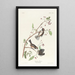 Chickadee of Canada - John James Audubon — framed artwork on a wall