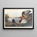 White-backed Duck - John James Audubon — framed artwork on a wall