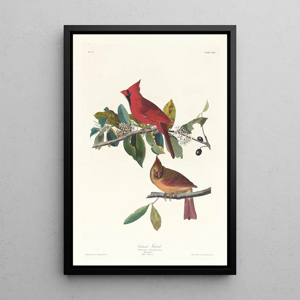 Cardinal gros-bec - John James Audubon — framed artwork on a wall