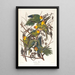 Parrot of Caroline - John James Audubon — framed artwork on a wall