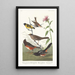 Pinson couleur châtaigne, Tarin à tête noire, Bruant à couronne noire, Bruant arctique - John James Audubon — framed artwork on a wall