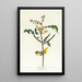 Paruline des enfants - John James Audubon — framed artwork on a wall