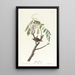 Bruant familier - John James Audubon — framed artwork on a wall