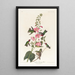 Colibri de Colombie - John James Audubon — framed artwork on a wall