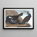 the Great Cormorant - John James Audubon — framed artwork on a wall
