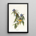 Connecticut Warbler Painting - John James Audubon — framed artwork on a wall