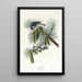 Mésange huppée - John James Audubon — framed artwork on a wall