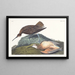 Eskimo Curlew Painting - John James Audubon — framed artwork on a wall