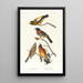 Evening Grosbeak, Spotted Gros-bec - John James Audubon — framed artwork on a wall